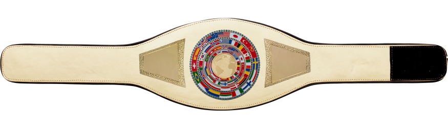 WORLD CHAMPION PROFLAG2/FLAG/G/BIGWG - VARIETY OF LEATHER COLOURS AVAILABLE WORLD CHAMPION PROFLAG2/FLAG/G/BIGWG - VARIETY OF LEATHER COLOURS AVAILABLE